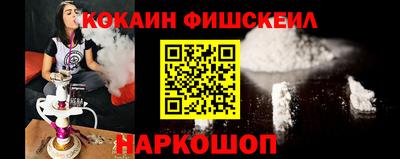 a pvp Камышлов
