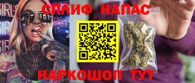 a pvp Камышлов